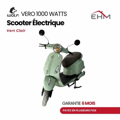 Scooter Électrique WOLF VERO 1000 Watts - Vert Clair