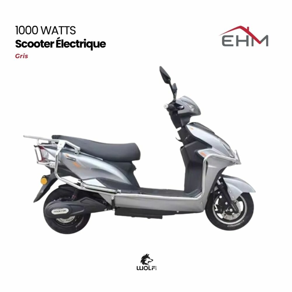Scooter Électrique WOLF 1000 Watts Avec Coffre - Gris
