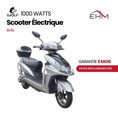 Scooter Électrique WOLF 1000 Watts Avec Coffre - Gris
